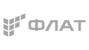 Флат